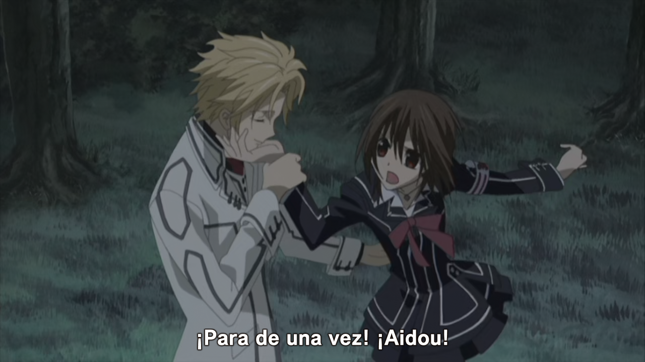 Vampire Knight (Ñyuum)